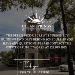 Debris-Pick-up-052023-300x300