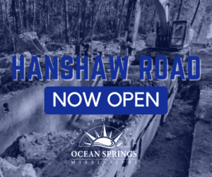 Hanshaw-Road-Opening-1-300x251